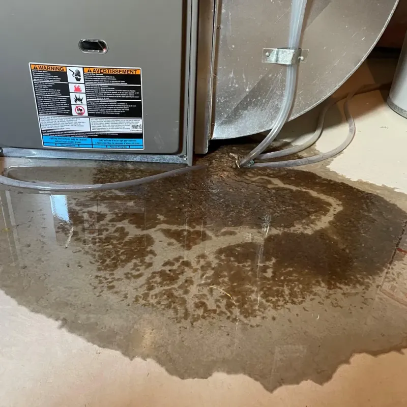 Appliance Leak Cleanup in Guilford County, NC