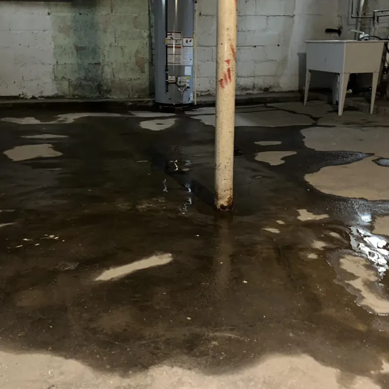 Emergency Water Extraction And Removal in Guilford County, NC